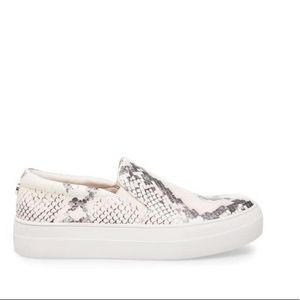 Steve Madden Gills snakeskin sneakers